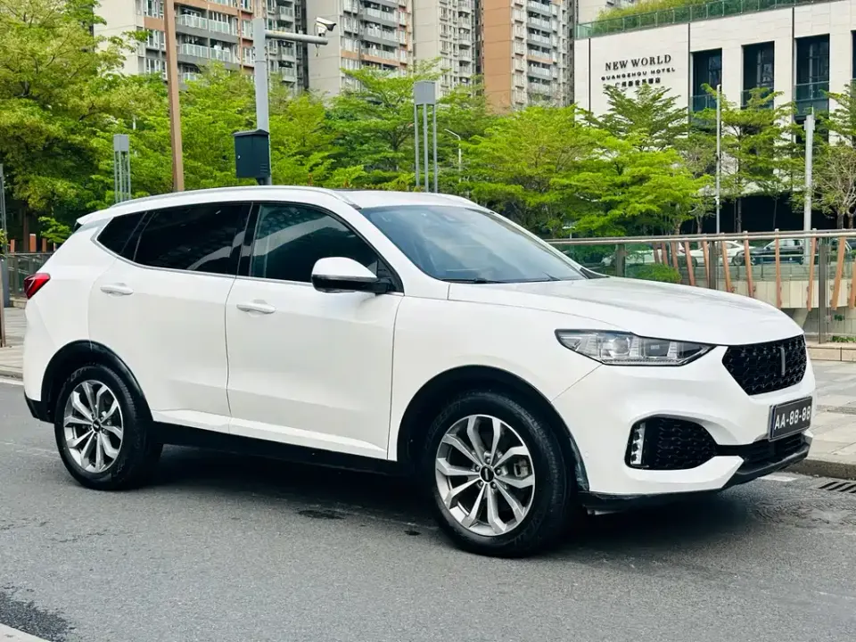 WEY Wey VV6