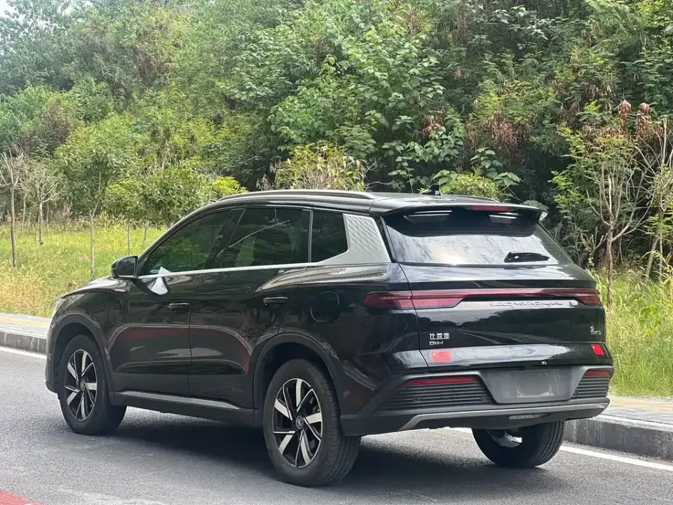 BYD Pro New Energy