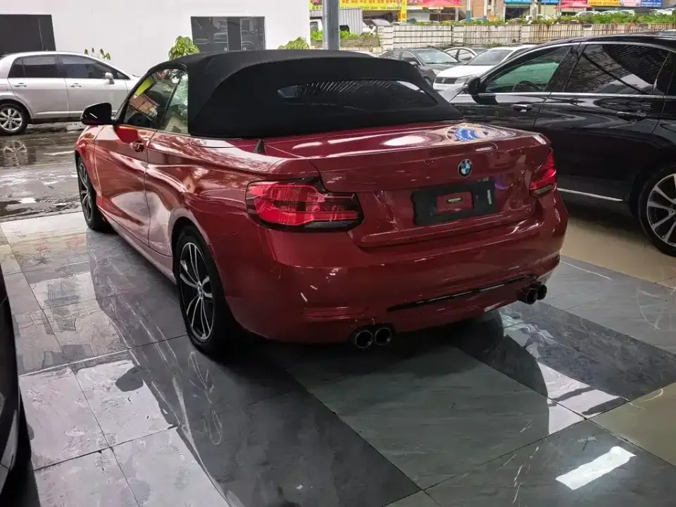 BMW 2 Series (Import)