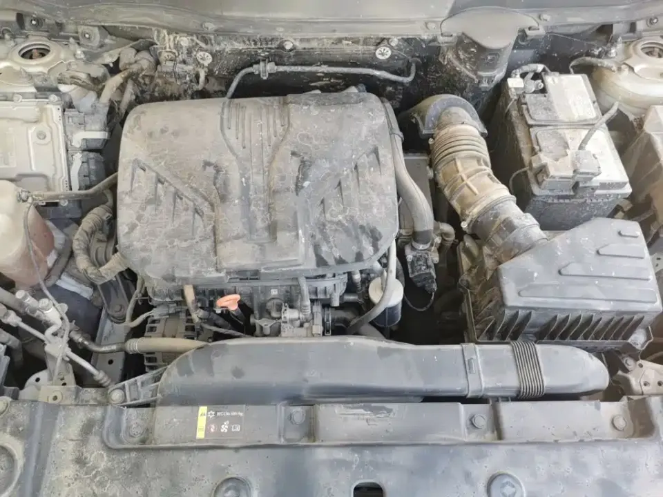 Haval Big Dog