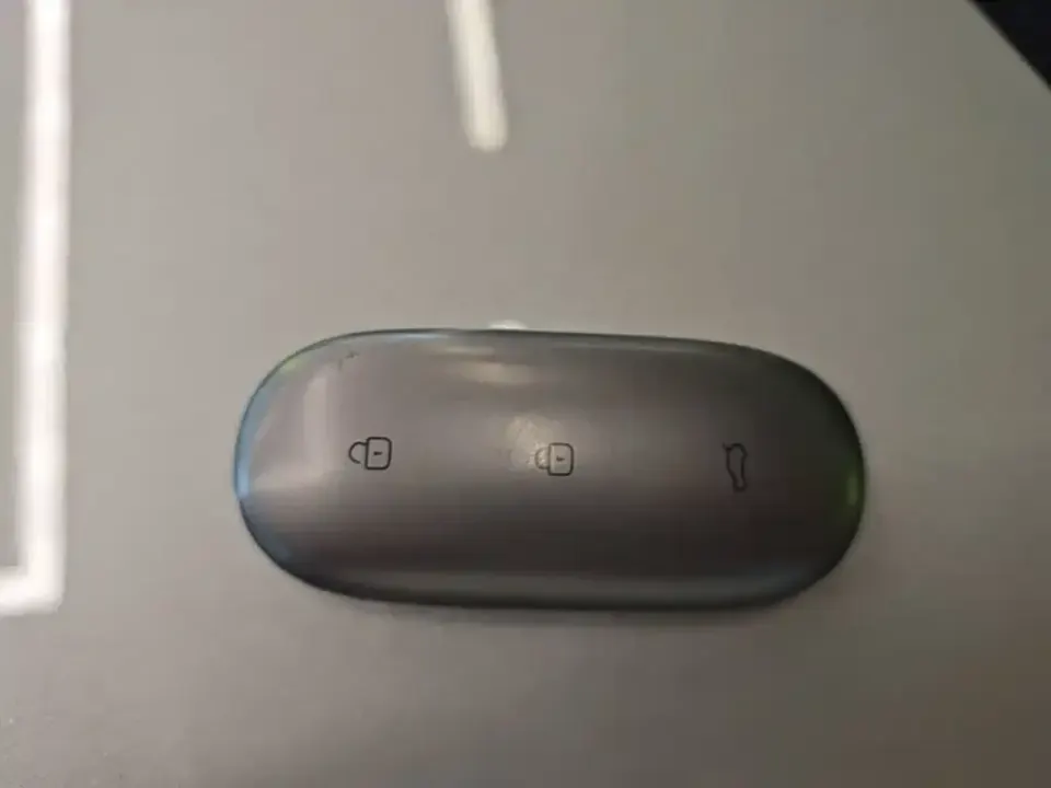 Li Li L9