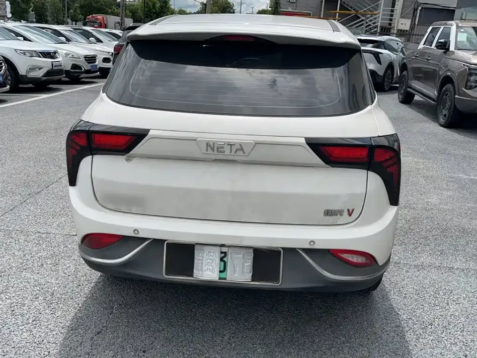 Neta Neta V