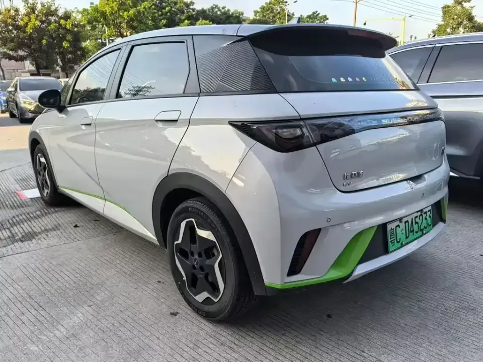 BYD Dolphin