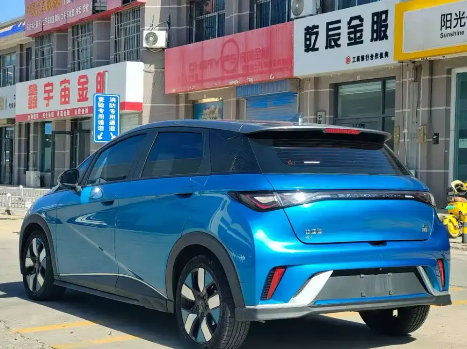 BYD Dolphin