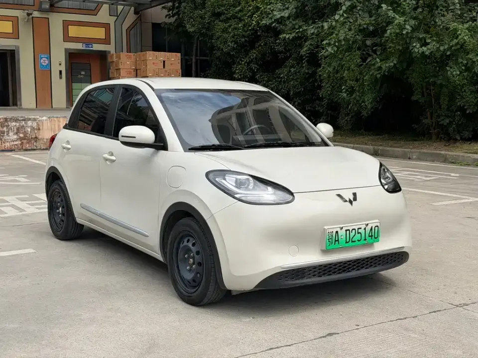 Wuling Bingo