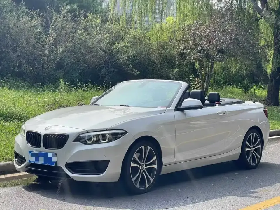 BMW 2 Series (Import)