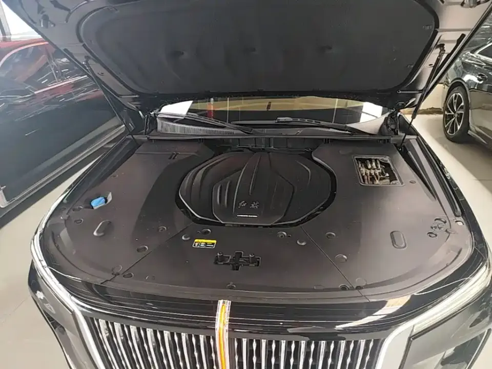 Hongqi Hongqi H9