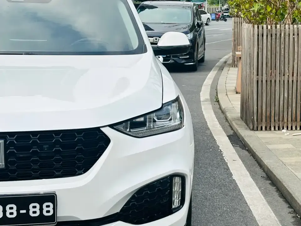 WEY Wey VV6