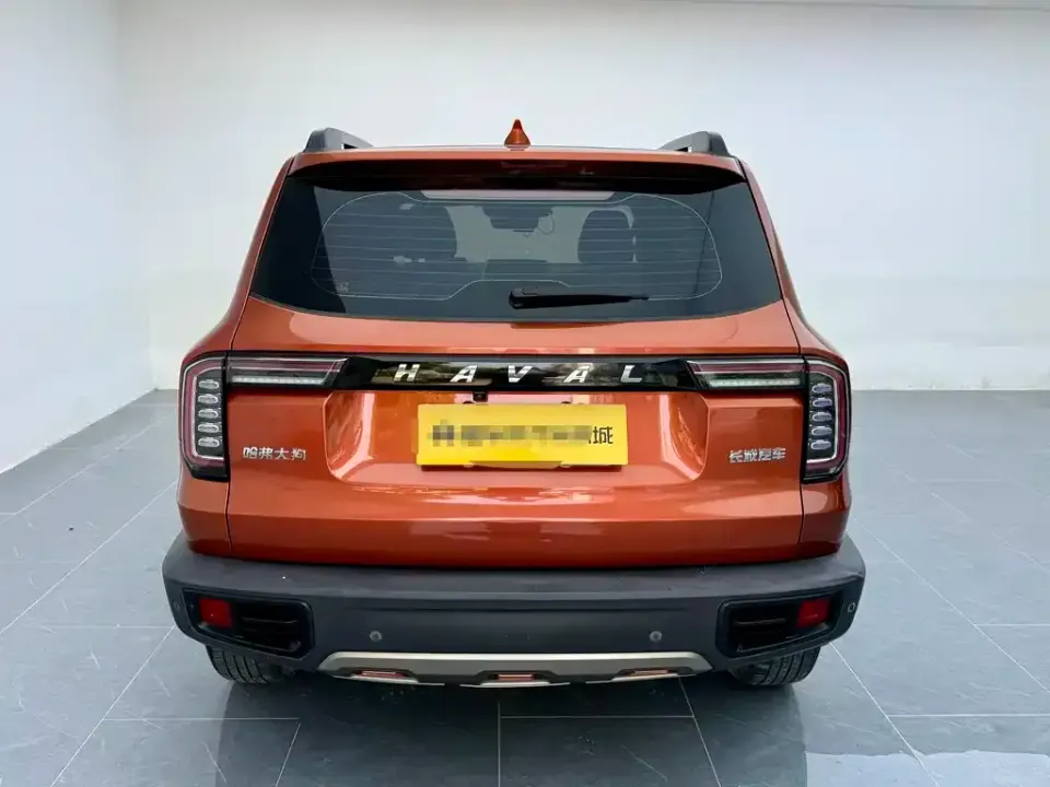 Haval Big Dog