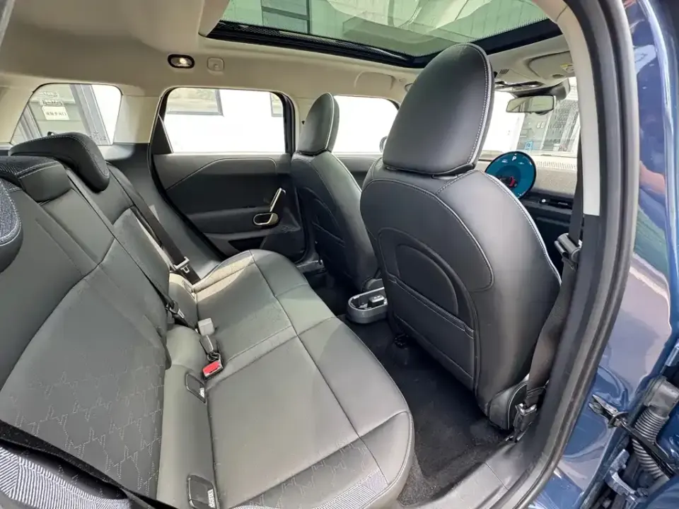 MINI MINI ACEMAN EV
