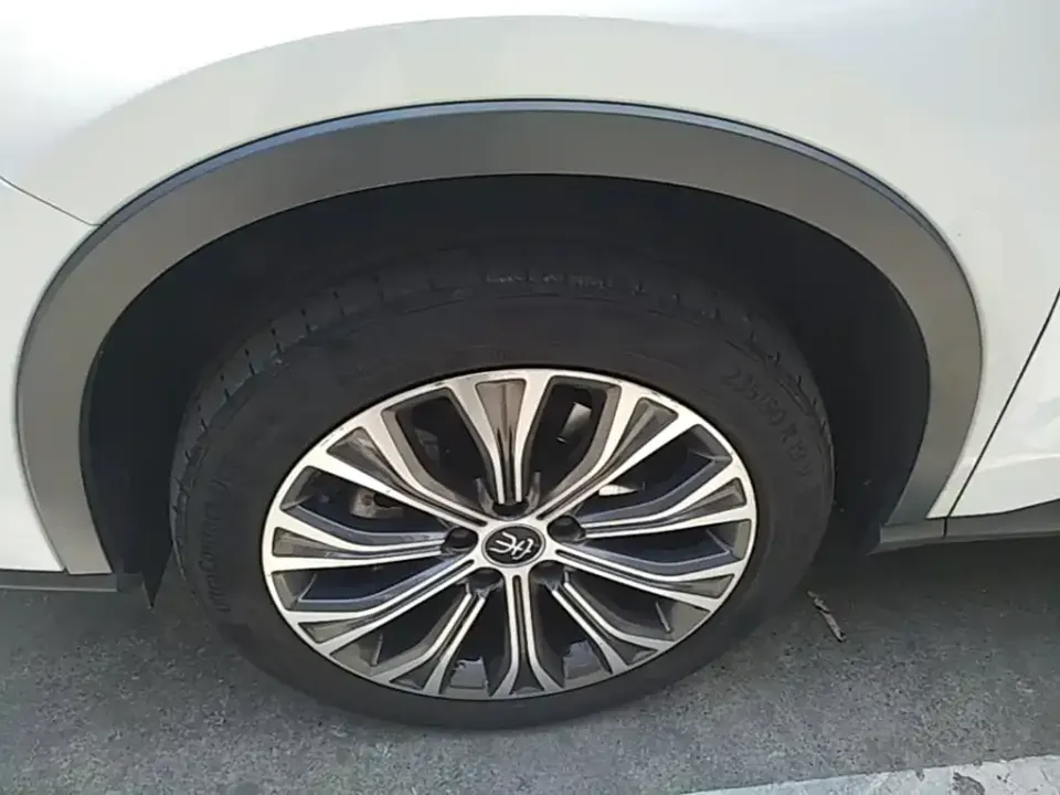 BYD Pro New Energy