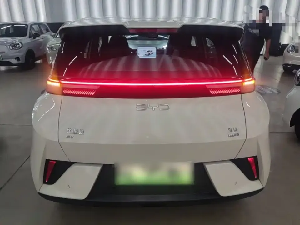 BYD Seagull