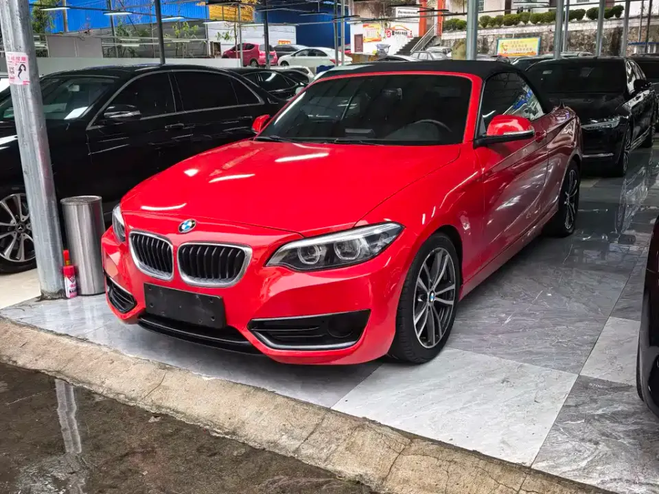 BMW 2 Series (Import)