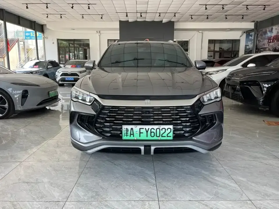 BYD Pro New Energy