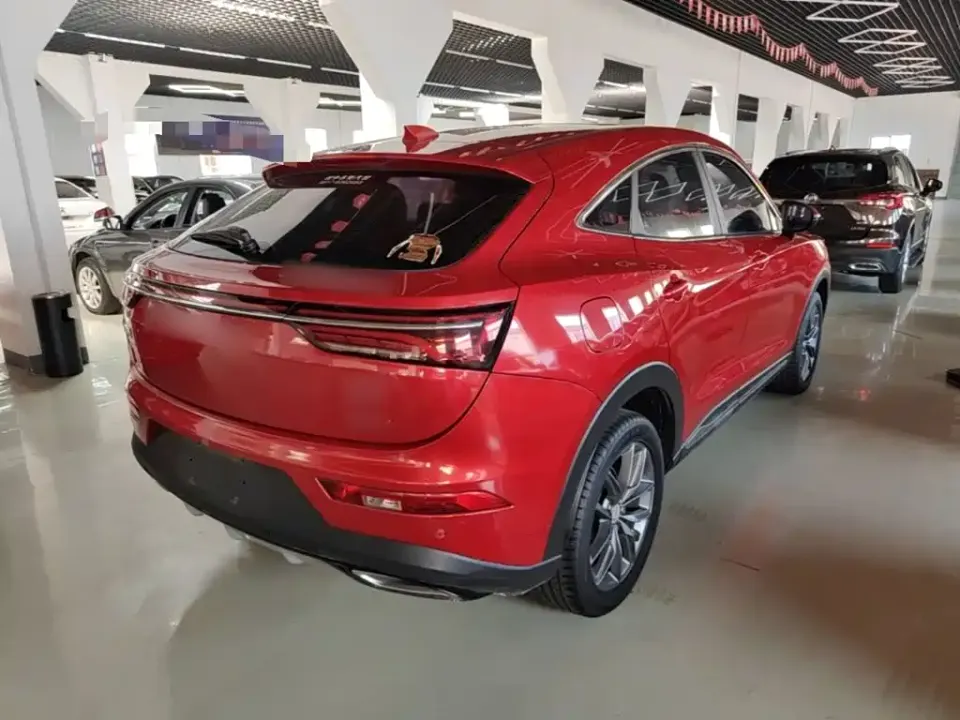 Fengguang Fengguang ix5