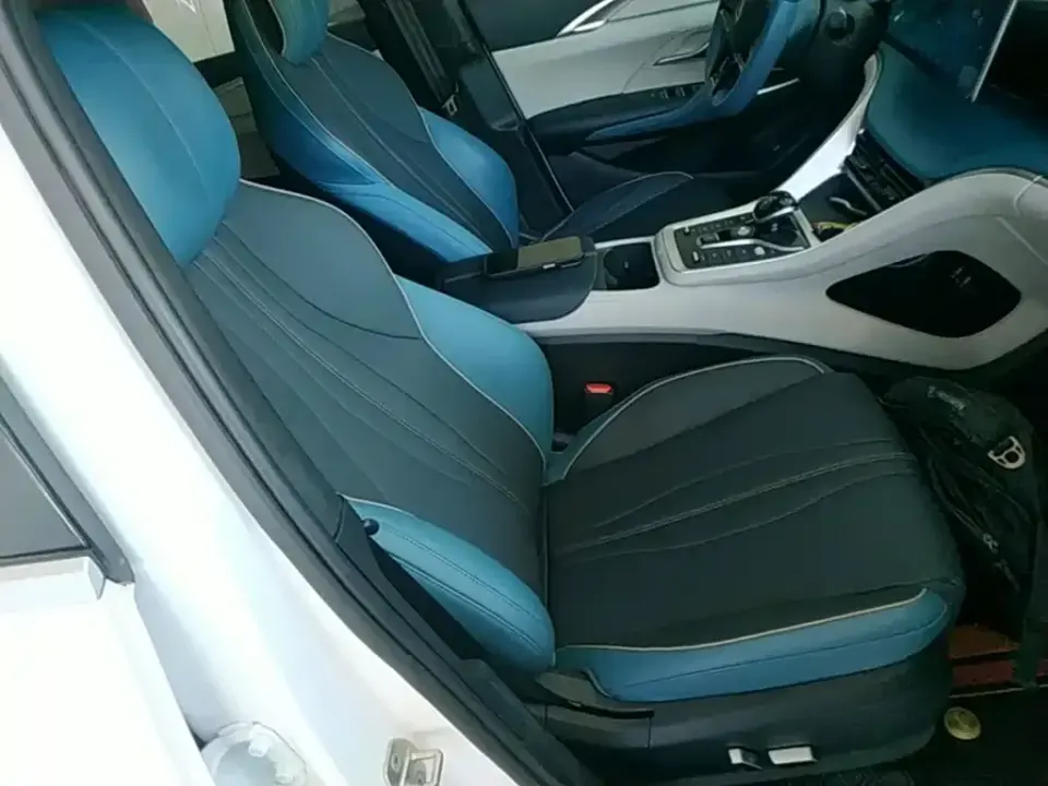 BYD Pro