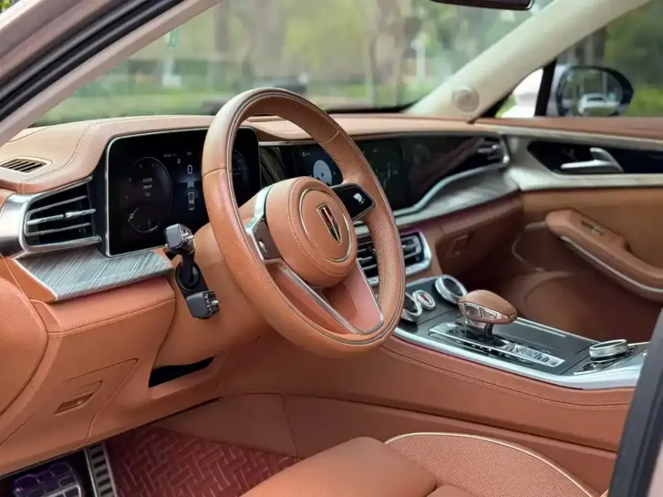 Hongqi Hongqi H9