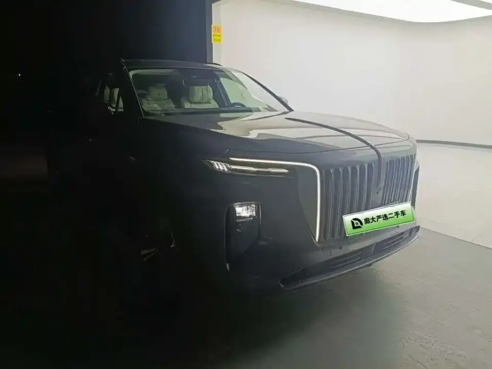Hongqi Hongqi E-HS9