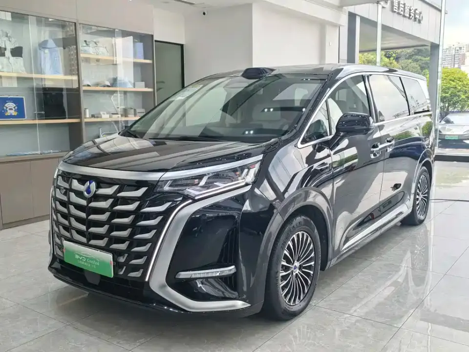 Denza Denza D9
