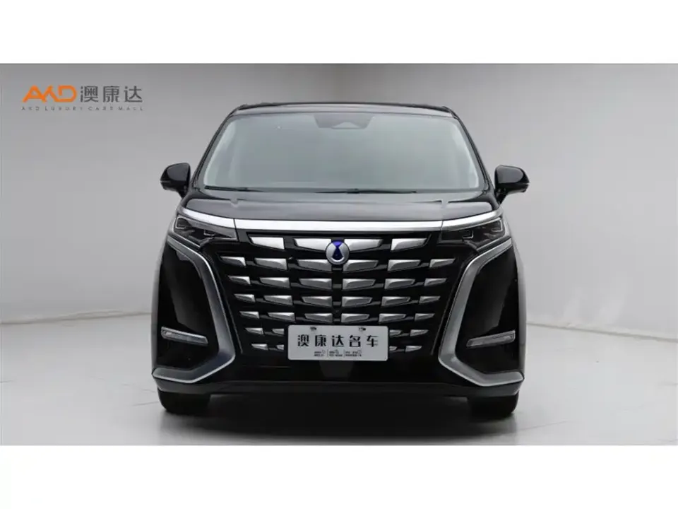 Denza Denza D9
