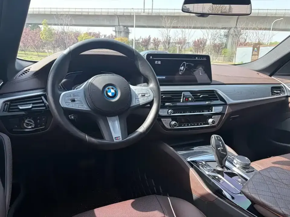 BMW 5 Series New Energy