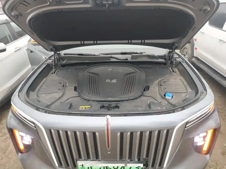 Hongqi Hongqi E-HS9