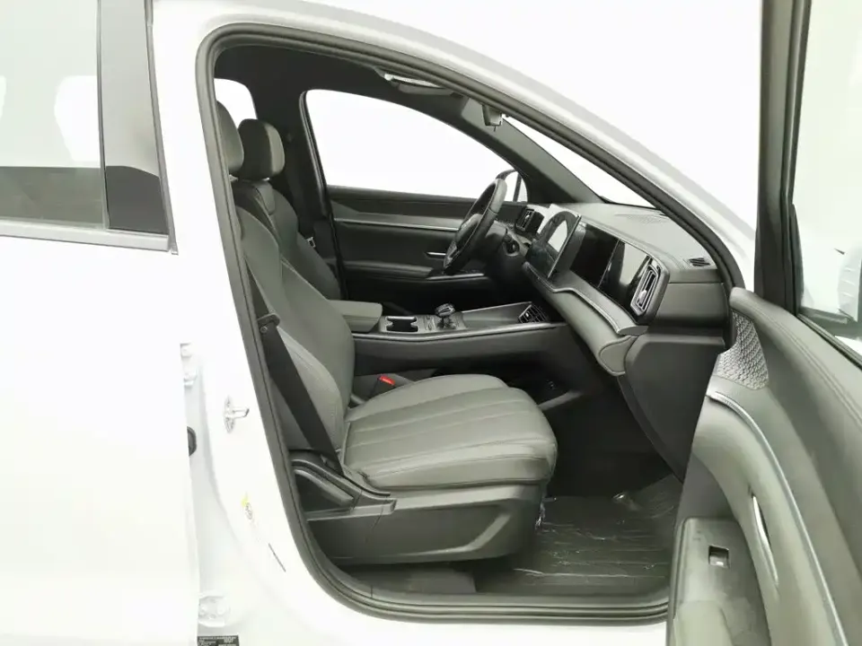 BYD Pro New Energy