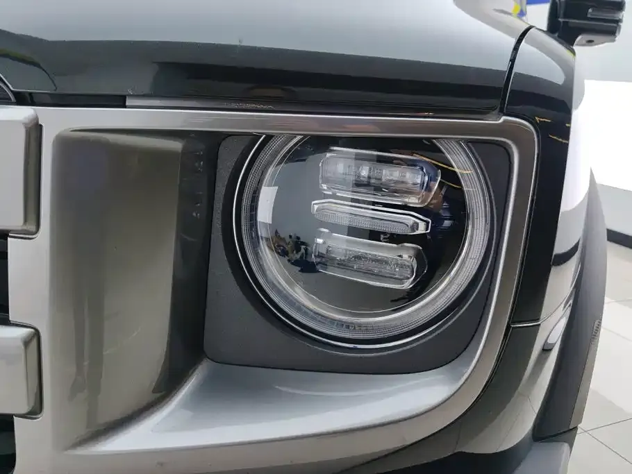 Haval Big Dog