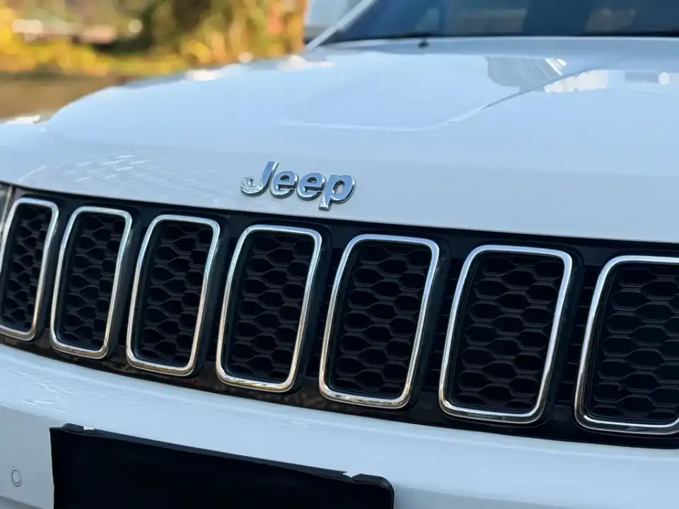 Jeep Grand Cherokee (Import)