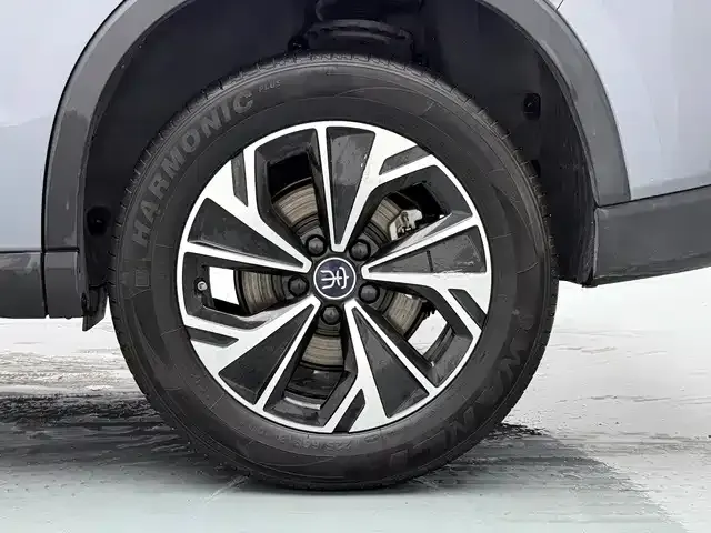 BYD Pro New Energy