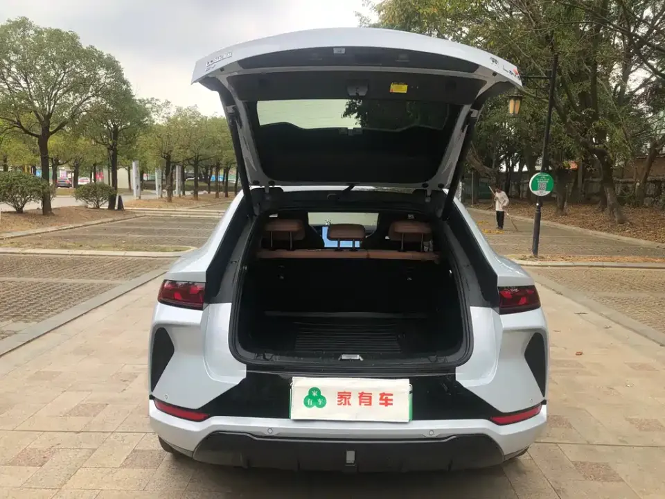 BYD L EV