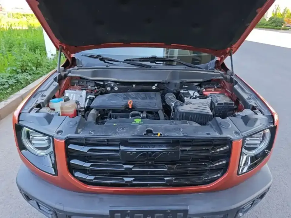 Haval Big Dog