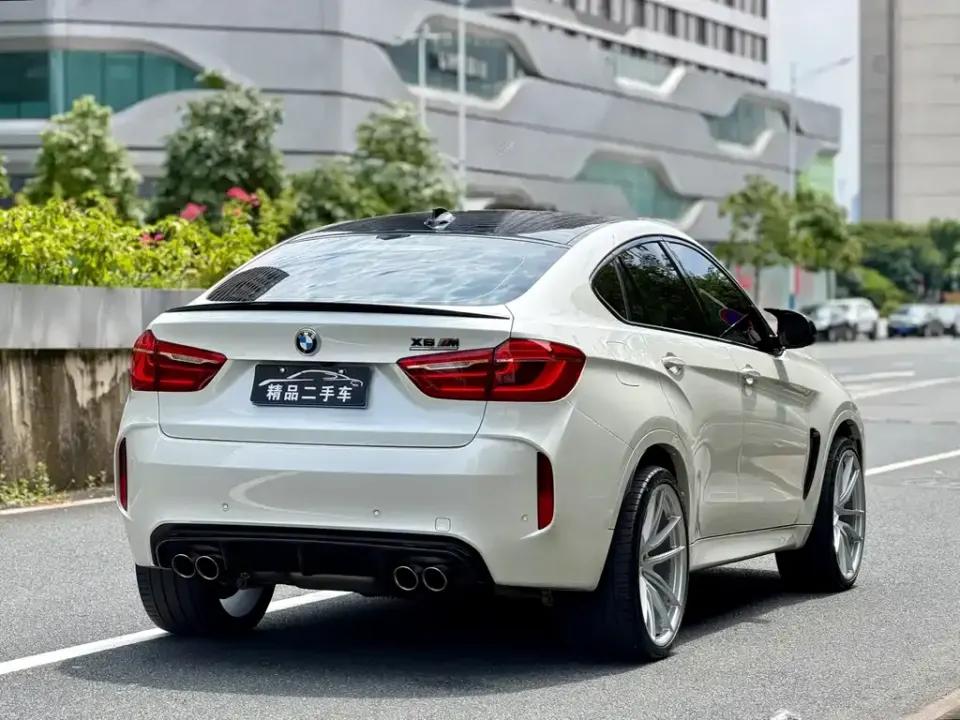 BMW X6 M