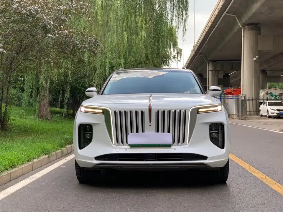 Hongqi Hongqi E-HS9