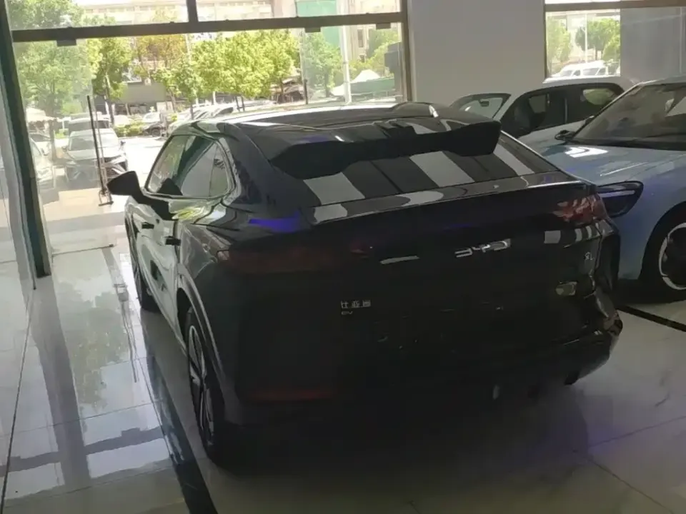BYD L EV