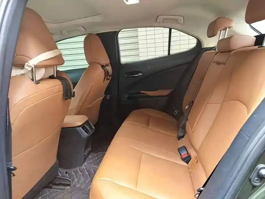 Lexus UX New Energy