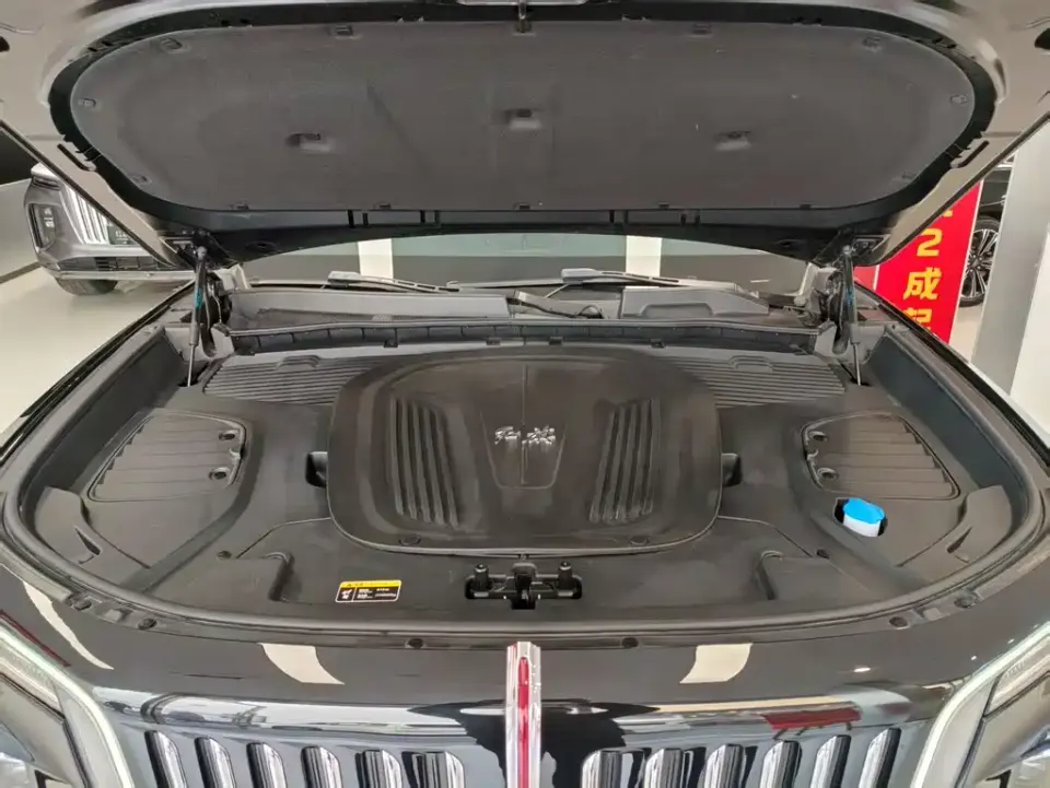 Hongqi Hongqi E-HS9