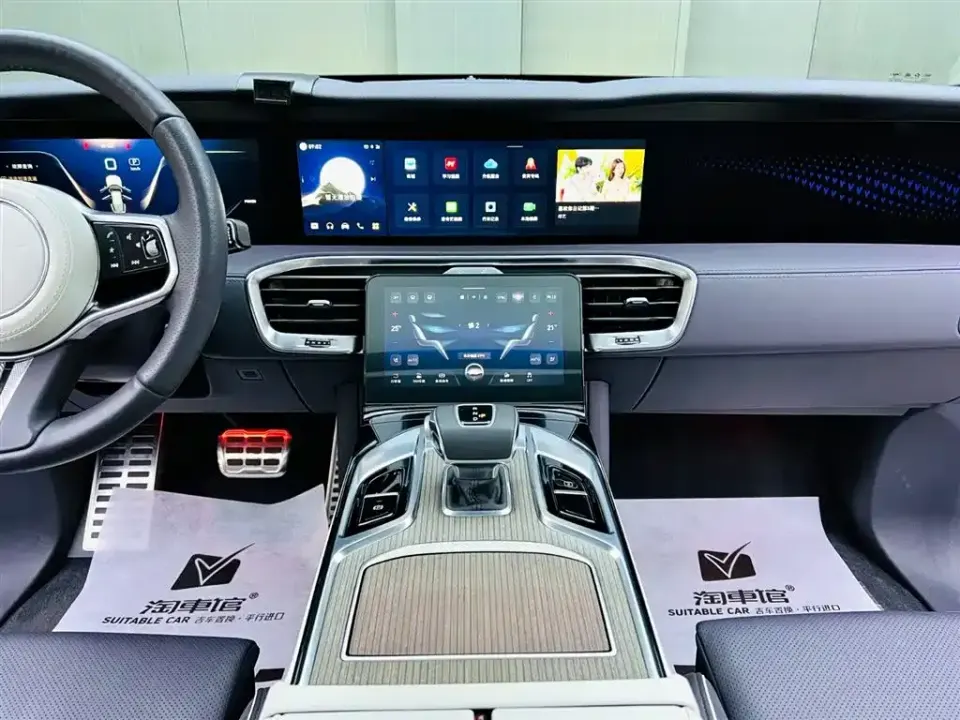 Hongqi Hongqi E-HS9