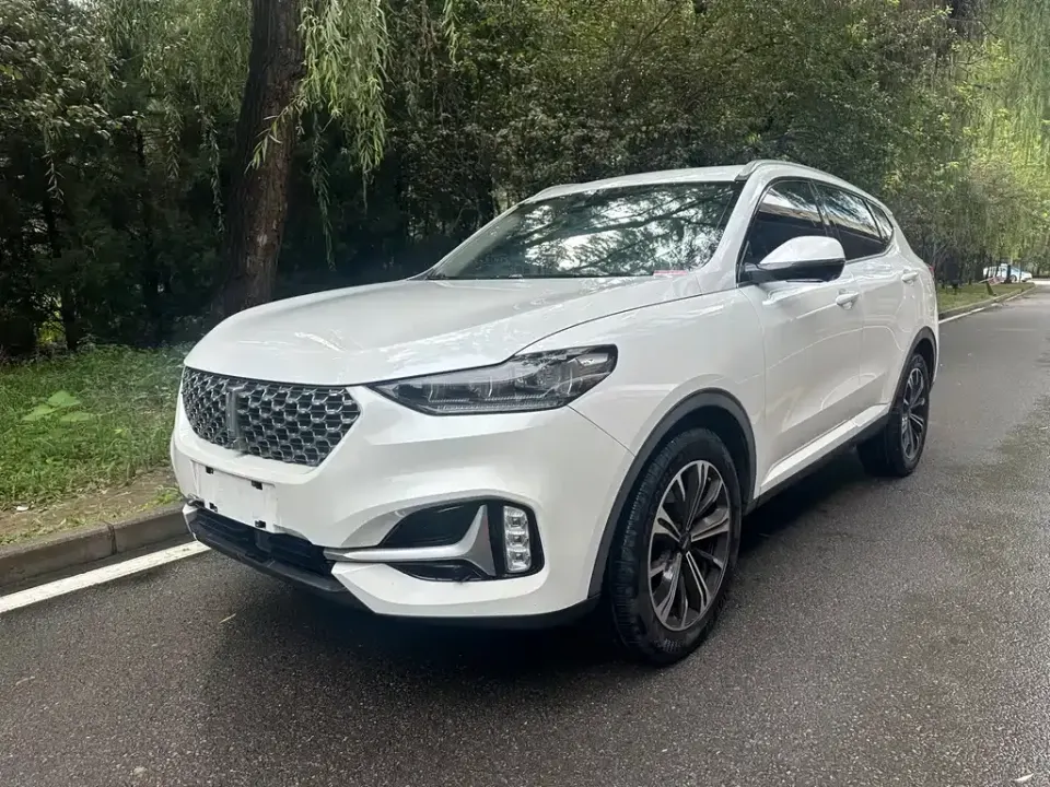 WEY Wey VV6