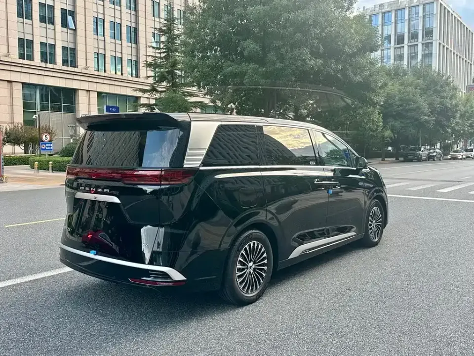 Denza Denza D9