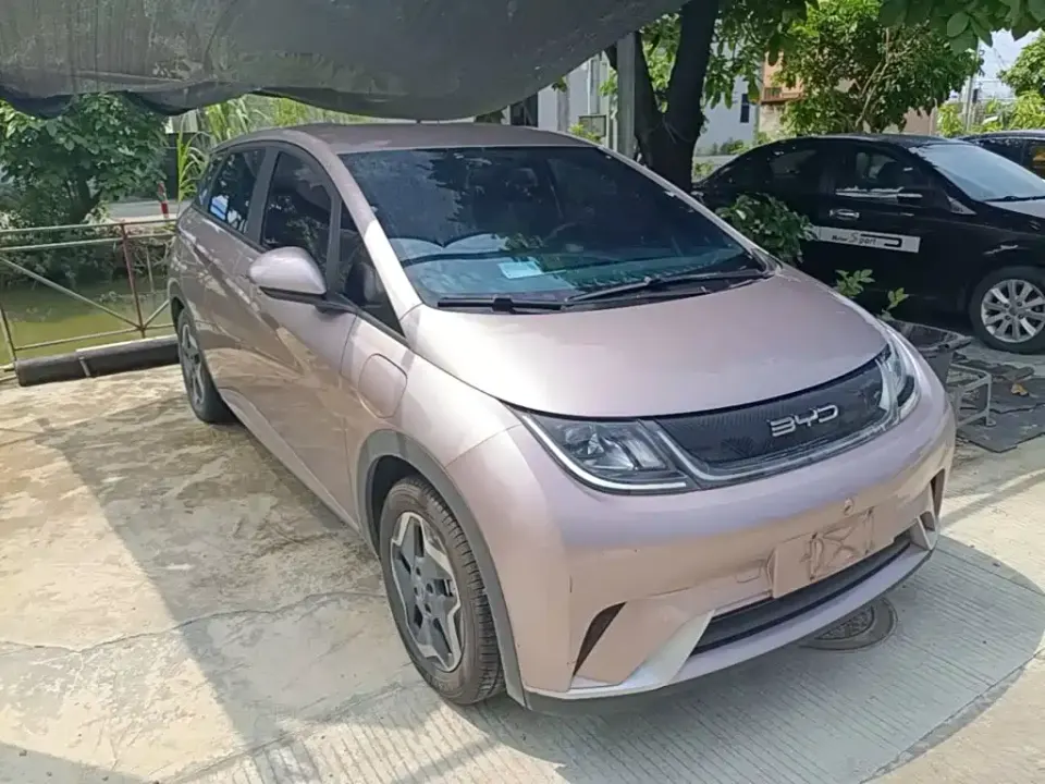 BYD Dolphin
