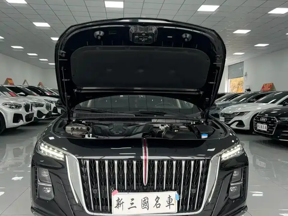 Hongqi Hongqi H5
