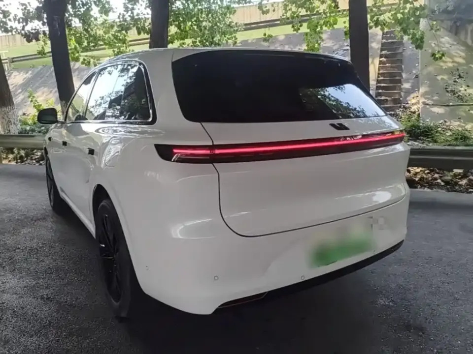 Li Li L6