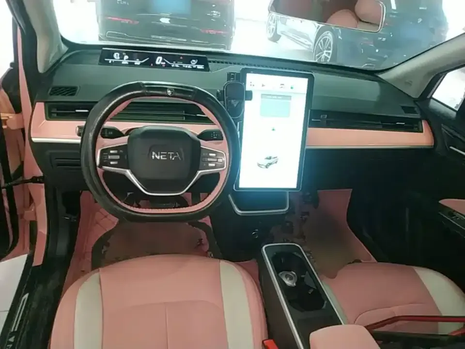 Neta Neta V