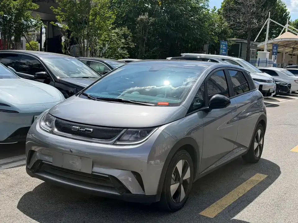 BYD Dolphin