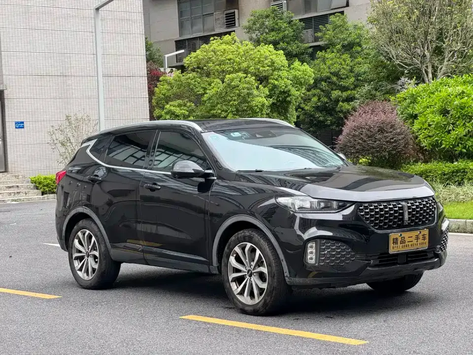 WEY Wey VV6