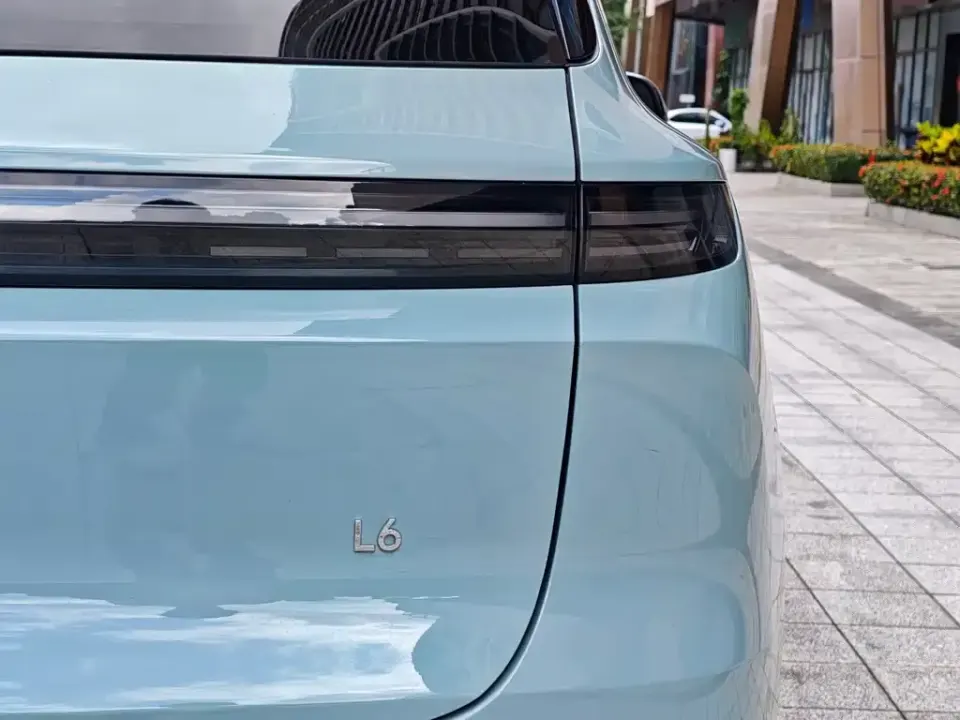 Li Li L6