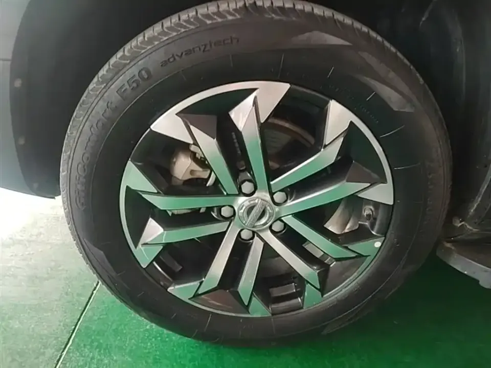 Haval Big Dog