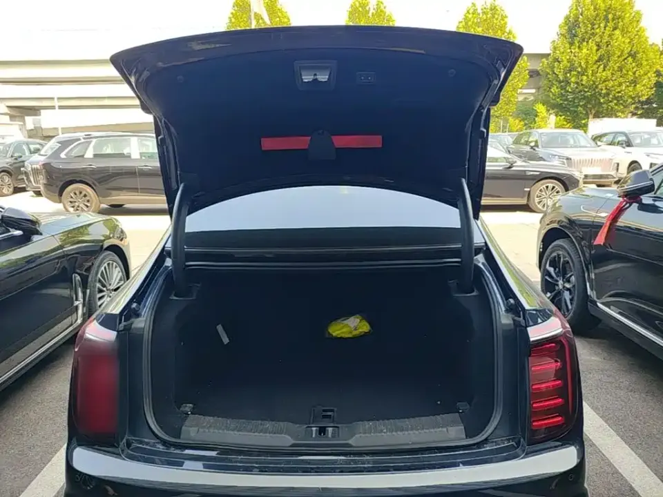Hongqi Hongqi H9