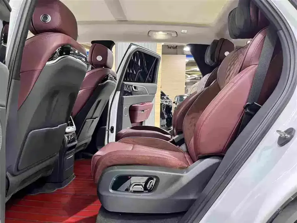 Hongqi Hongqi E-HS9